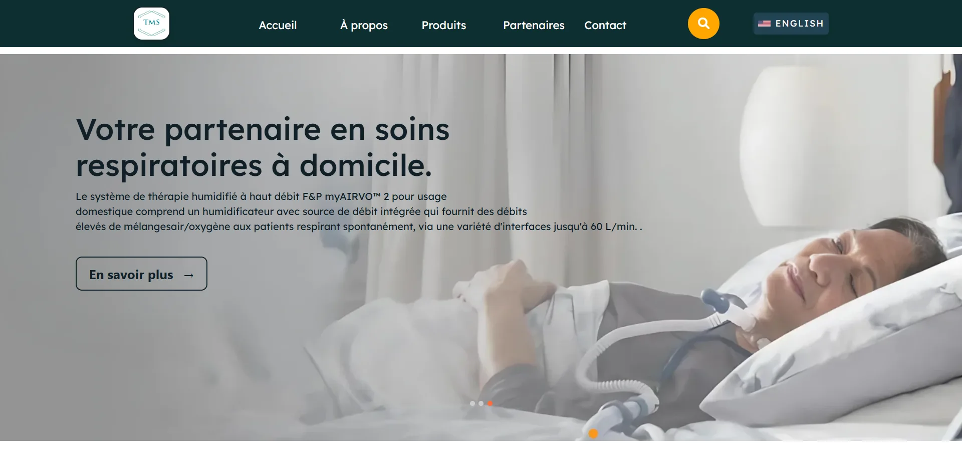 Capture du projet Terre Multi-Services Inc. - Distribution d'Équipements Médicaux & Solutions de Santé