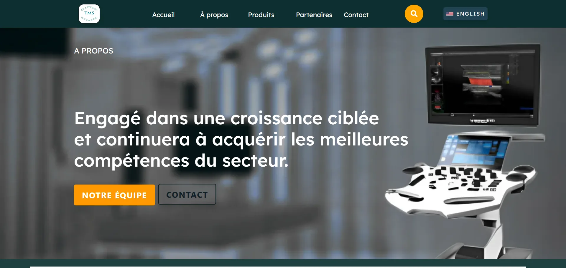 Capture du projet Terre Multi-Services Inc. - Distribution d'Équipements Médicaux & Solutions de Santé
