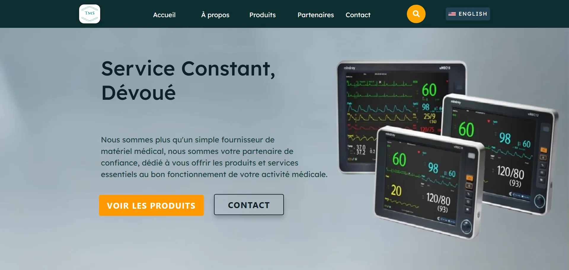 Aperçu du projet Terre Multi-Services Inc. - Distribution d'Équipements Médicaux & Solutions de Santé