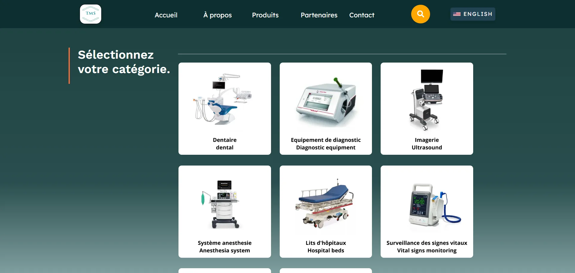 Capture du projet Terre Multi-Services Inc. - Distribution d'Équipements Médicaux & Solutions de Santé