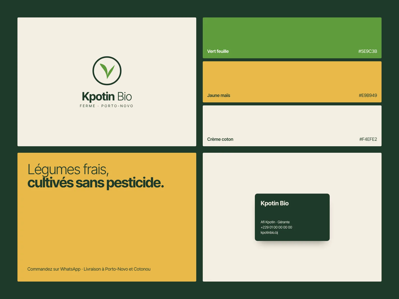 Aperçu du projet Kpotin Bio, identité visuelle